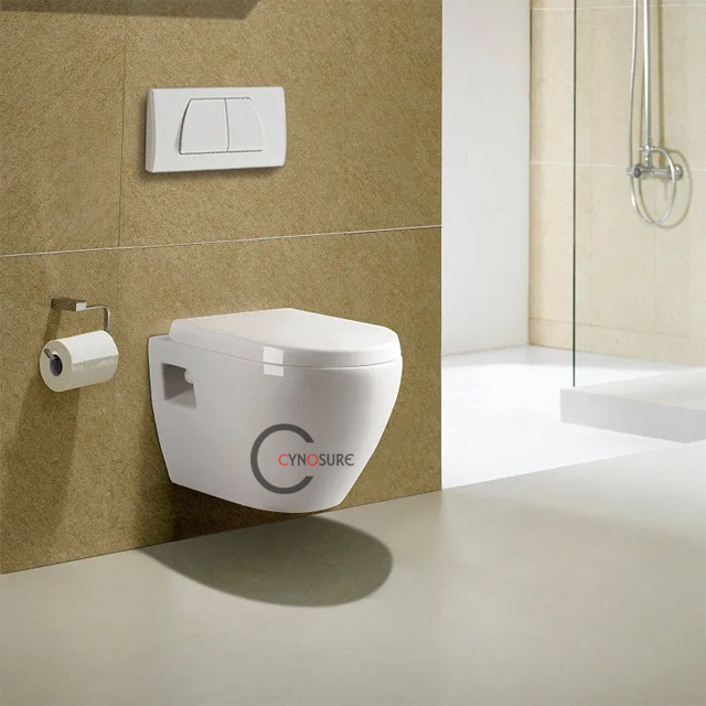 Bathroom Gravity Flushing Wall Hung Toilet Sanitary Round One Piece Wc Wall Mounted hanging Toilets 2024 new products