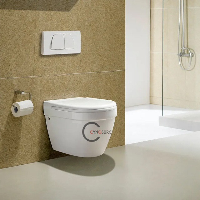 Bathroom Gravity Flushing Wall Hung Toilet Sanitary Round One Piece Wc Wall Mounted hanging Toilets 2024 new products