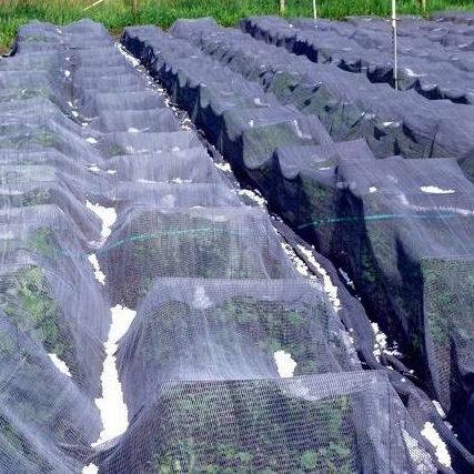 100% New Hdpe, Sun Agricultural Green Shade Net Outdoor Sun Sail Shade Waterproof Sun Shade Mesh Fabric/