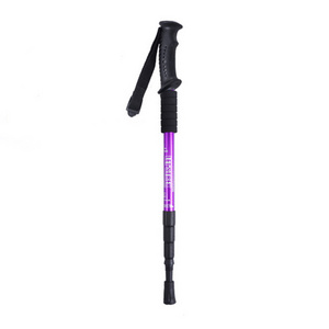 2021 Aluminium Alloy Alpenstock Mountaineering Cane Trekking Poles Hiking Nordic Walking Sticks