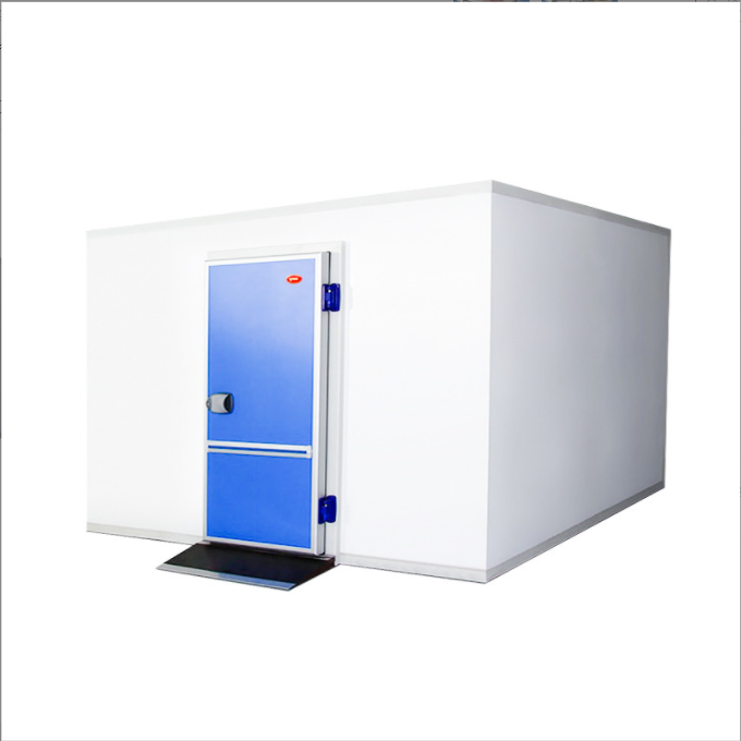 Aidear Walk in Freezer Fish Cold Storage Freezer Scroll/piston/screw Compressor Condensing Unit Air Cooler Evaporator 4.5mm 6mm