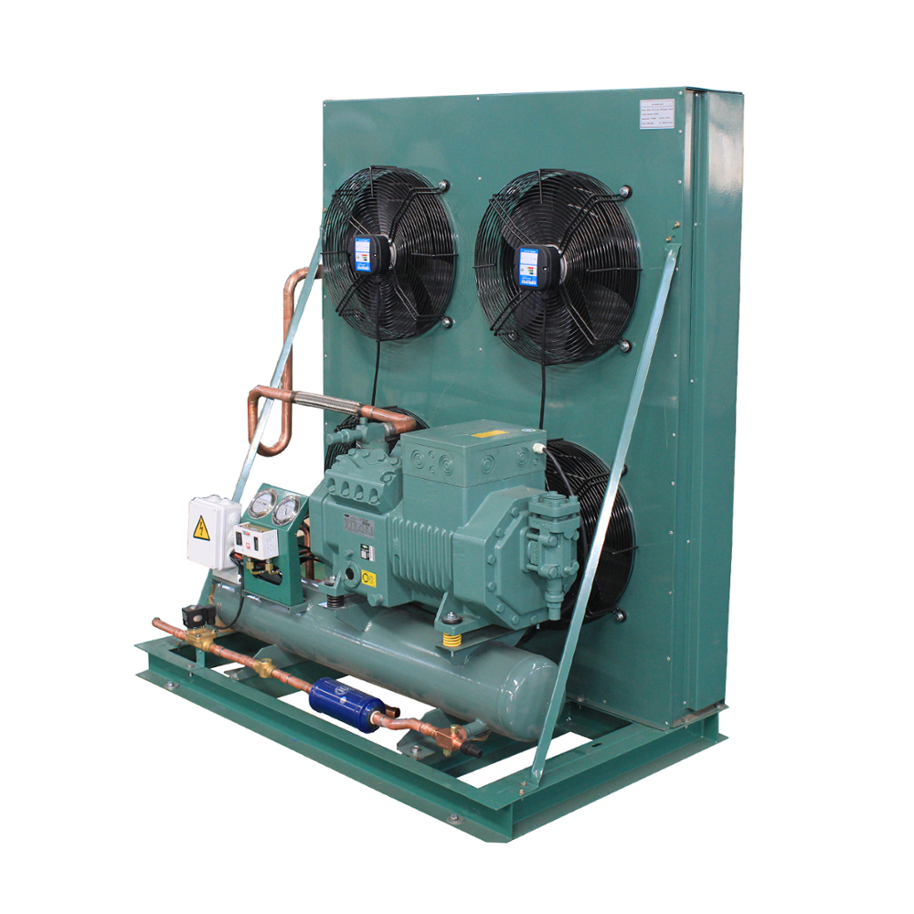 Air cooler condenser unit for cold storage