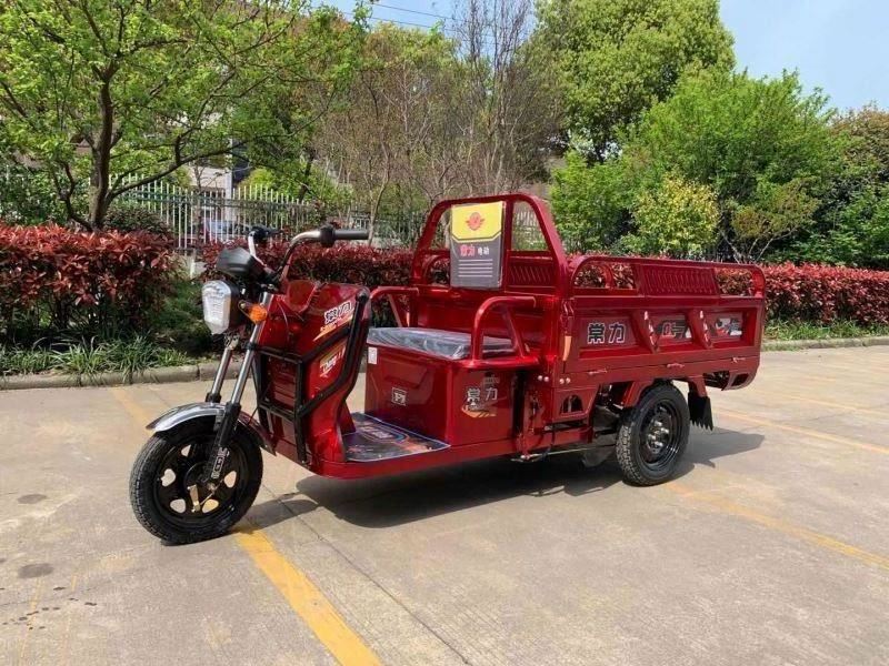 Chang li electric trike fat tire 3 wheel Electric Tricycle three wheels adult cargo