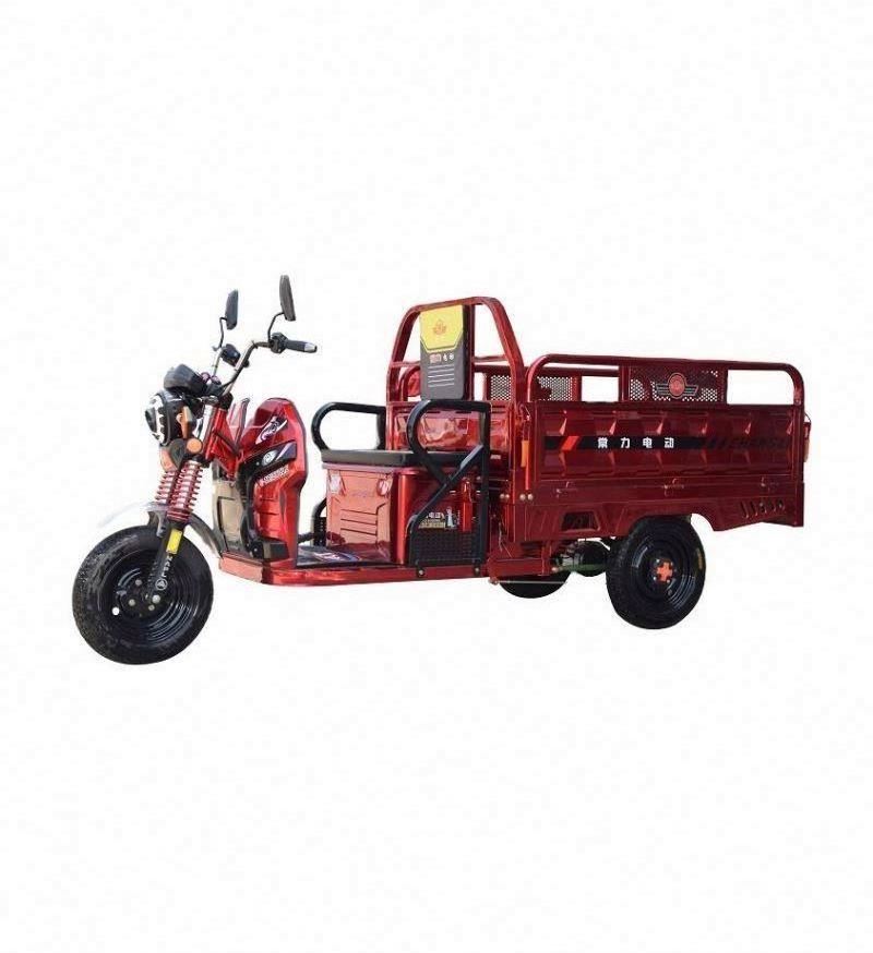 Chang li electric trike fat tire 3 wheel Electric Tricycle three wheels adult cargo