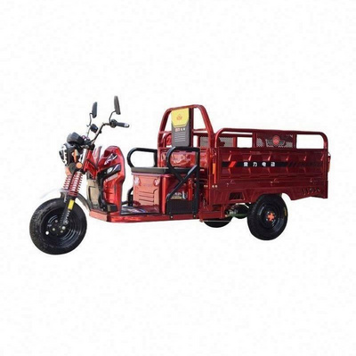 Chang li electric trike fat tire 3 wheel Electric Tricycle three wheels adult cargo