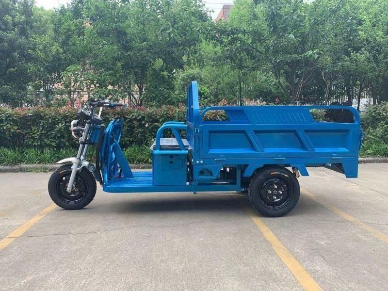 Ghana adult cargo 48v electric bike three wheels Rickshaw Electric Tricycle