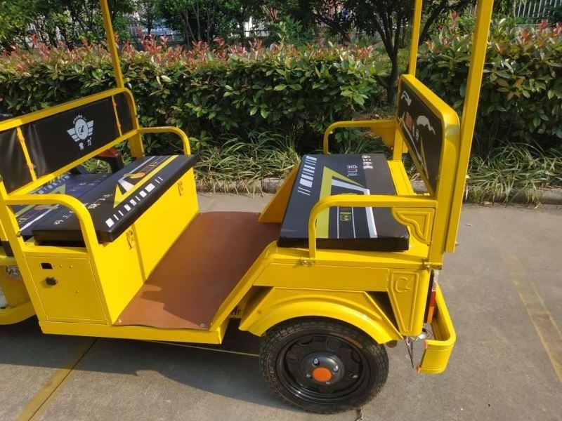 Chang li 2020 Chinese electric tuk tuk 3 wheels cargo deliver electric tricycle cargo truck/trike