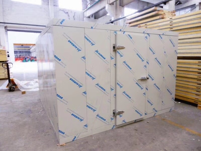 Professional manufacturer fruit vegetables storage modular cold room