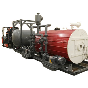 Custom Industrial Thermal Oil Boiler Gas Fired Thermal Fluid Heater Hot Oil Boiler