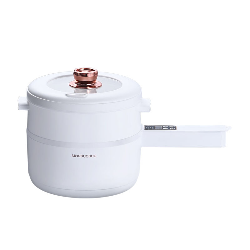 Multifunction Power Adjustment Ceramic Coating 600w Dormitory Student Noodle Oatmeal Soup With Steamer Electric Cooking Pot