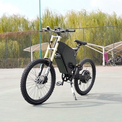 2023 new product Max Load Capacity 150kg side car electric bike with front and rear light with horn