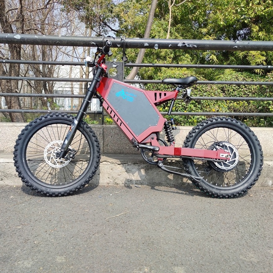 best fast 20 inch fat tire electric bike lion battery mini electric bike in korea