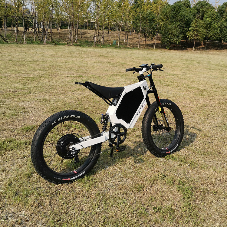 2023 Best Budget fast tire  48v 1000w 2000w Electric dirt bike  electric bike with dog carrier