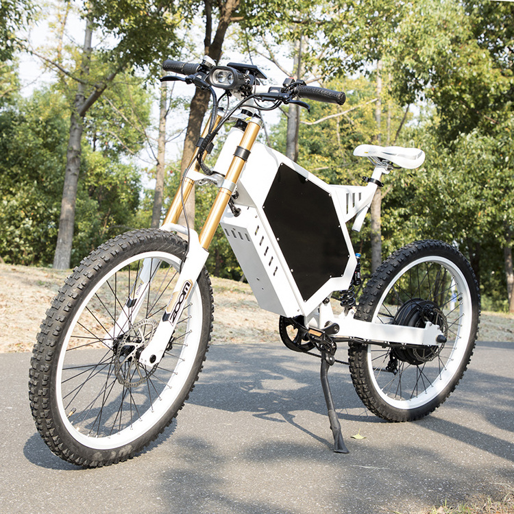 2023 Best Budget fast tire  48v 1000w 2000w Electric dirt bike  electric bike with dog carrier