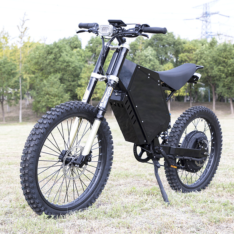 2023 Best Budget fast tire  48v 1000w 2000w Electric dirt bike  electric bike with dog carrier