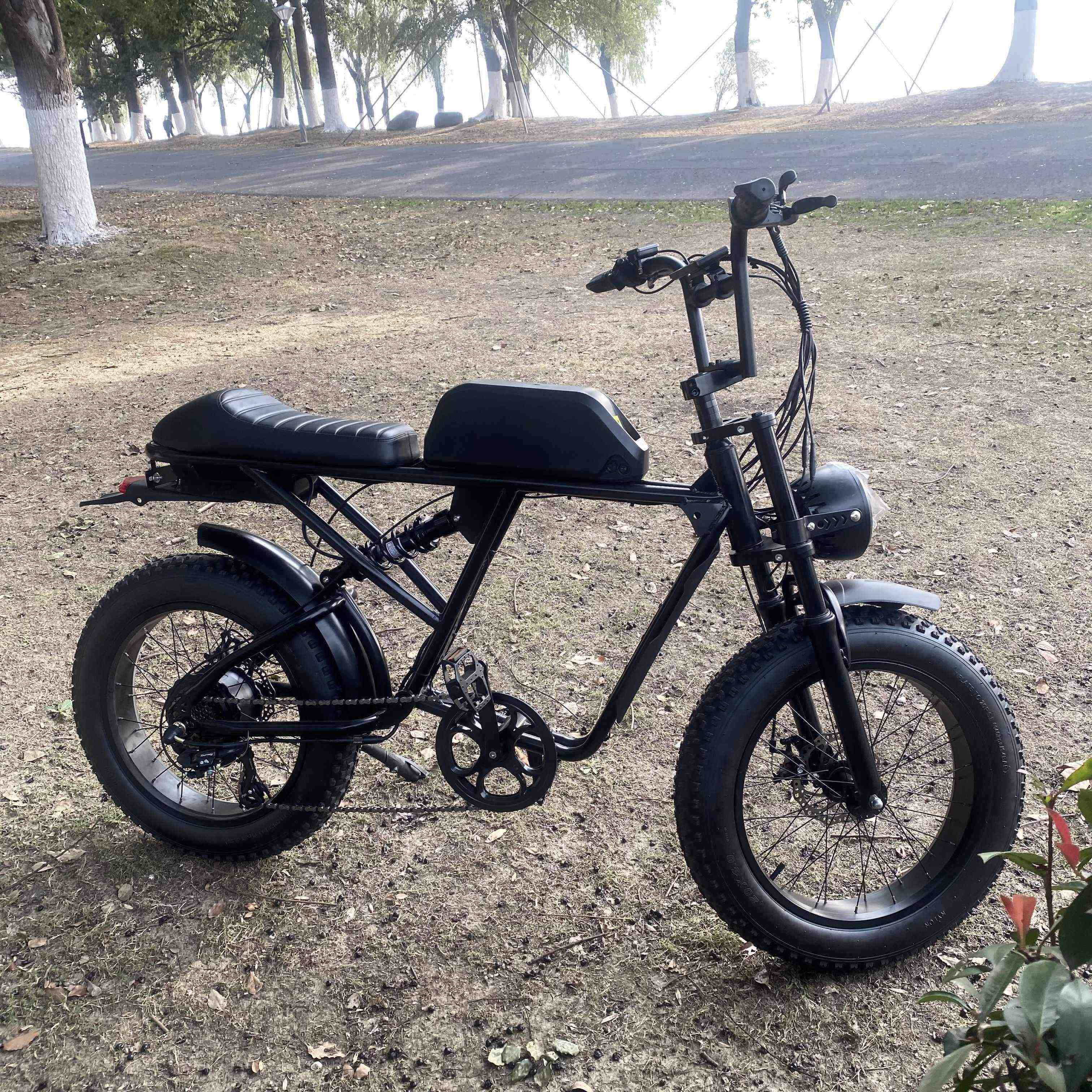 Cheap Yolin 52V Dual Battery Ebike