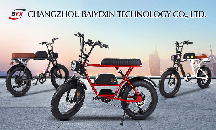 Low Price Suzuki Xds Electric Bicycle Battery