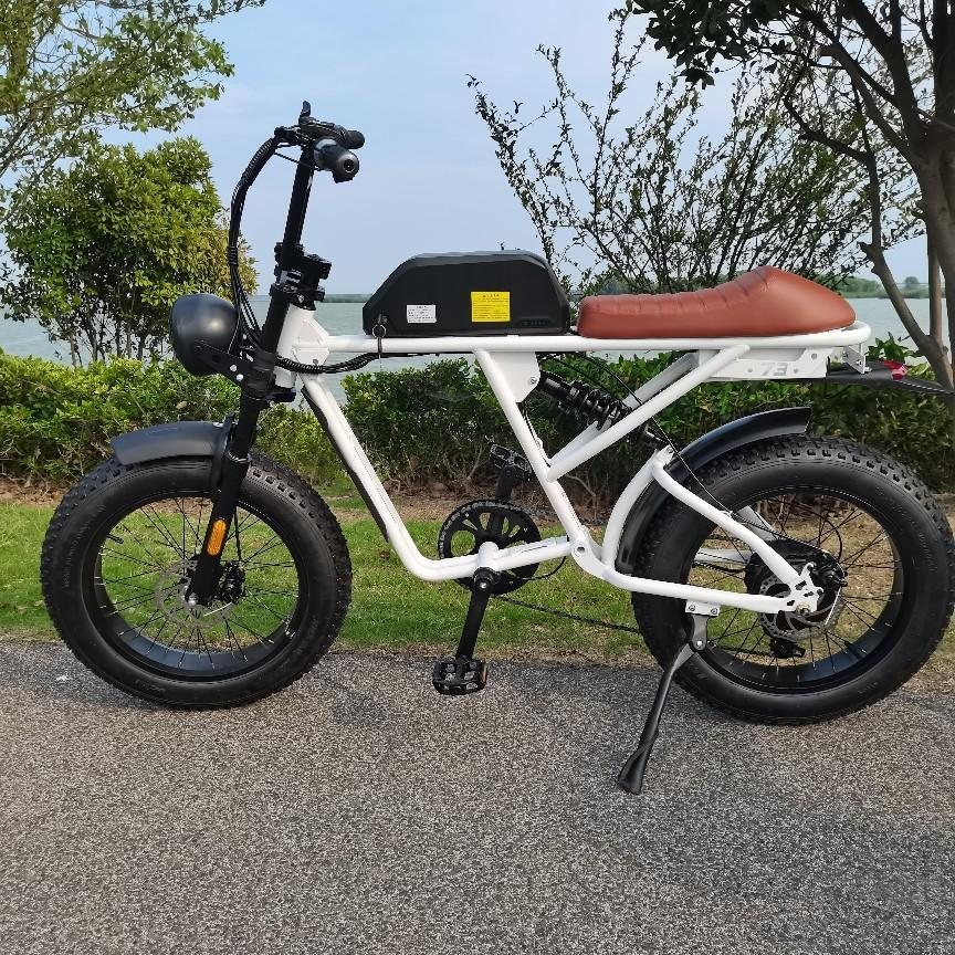 LAFLY 250w Adult Two Wheel Bicycle with Lithium Battery Pedal touring ebike