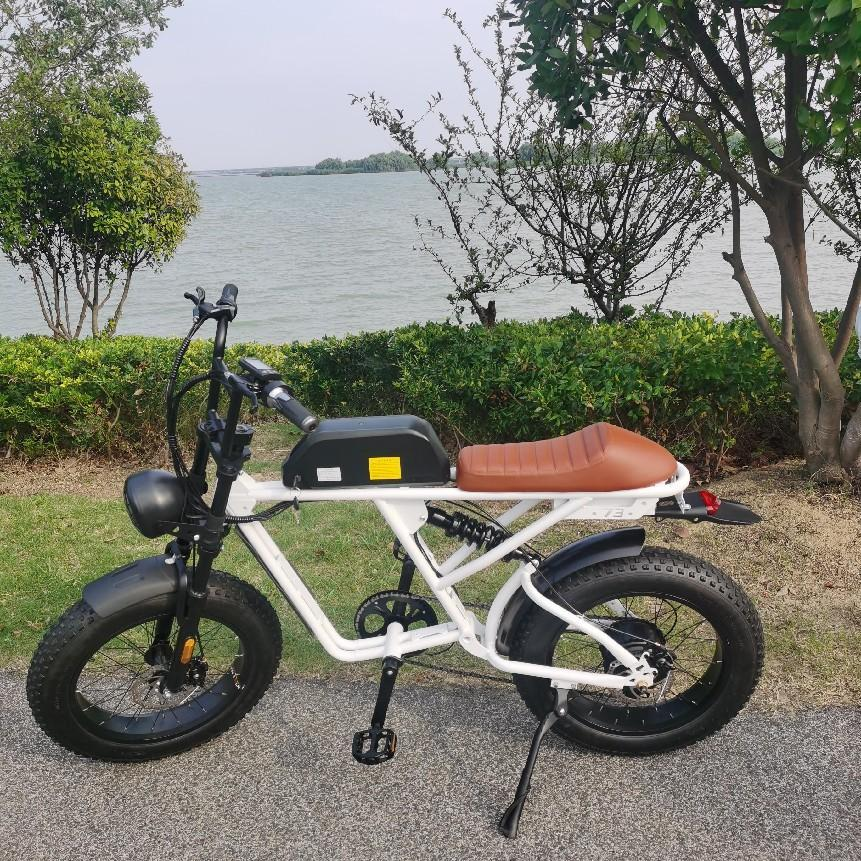 Factory 1000W 48V Electric City Bike 20 inch SHIMANO 7 Speed 10AH 15AH 20AH 25AH Ebike Electrical Fat Tire E Bicycle for Sale