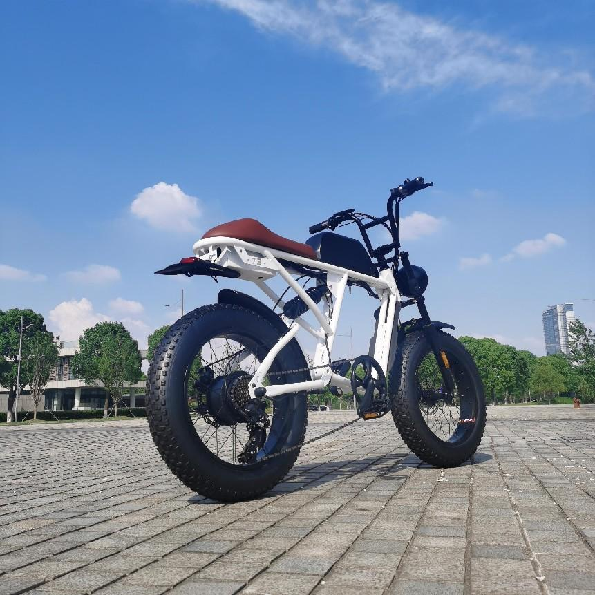 1000w 48v super fat tire 73 retro electric bicycle Ebike fast delivery long range 21 speed off road electric dirt e bike