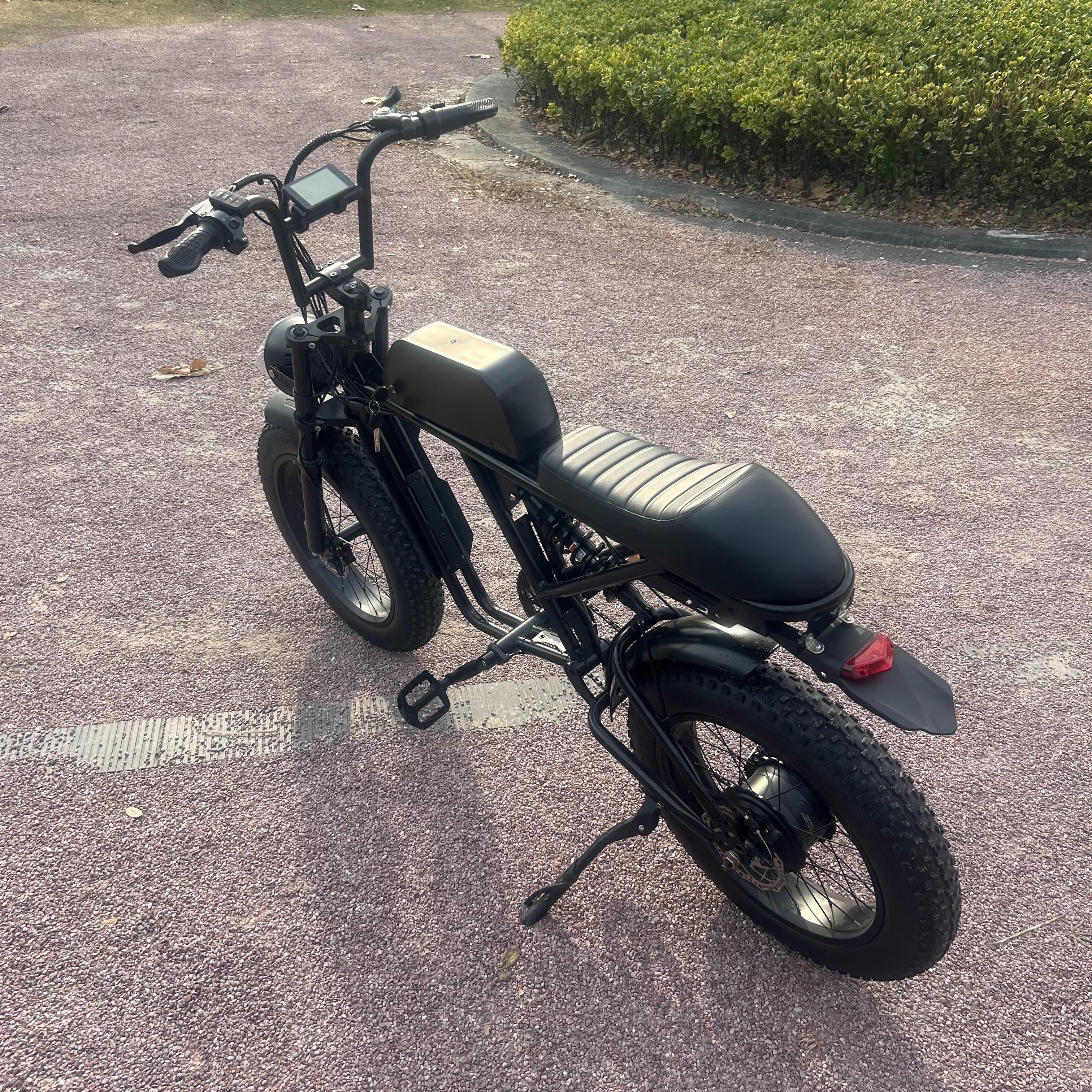 China Factory Tandem Electric Bicycle