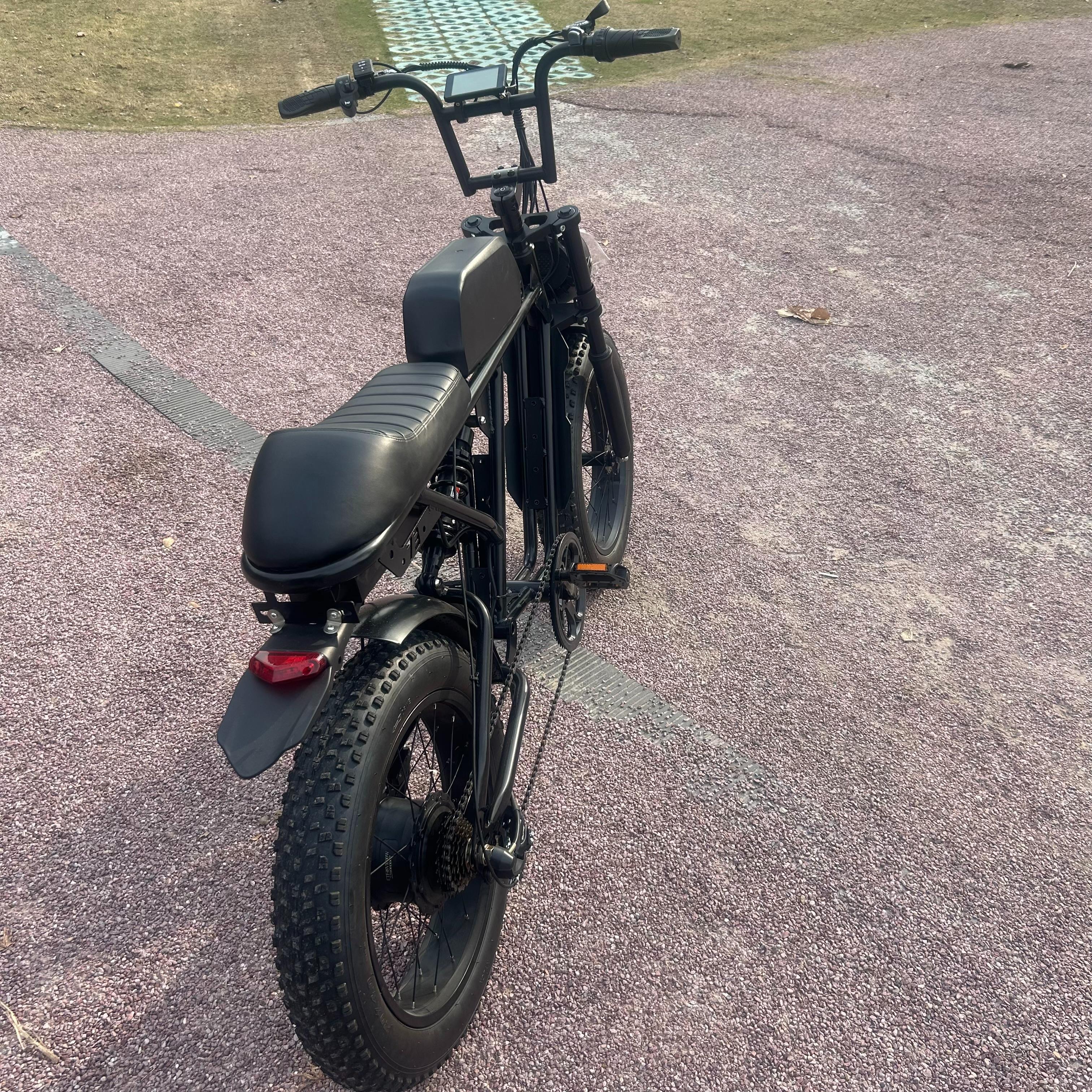 China Factory Tandem Electric Bicycle