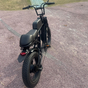 China Factory Tandem Electric Bicycle