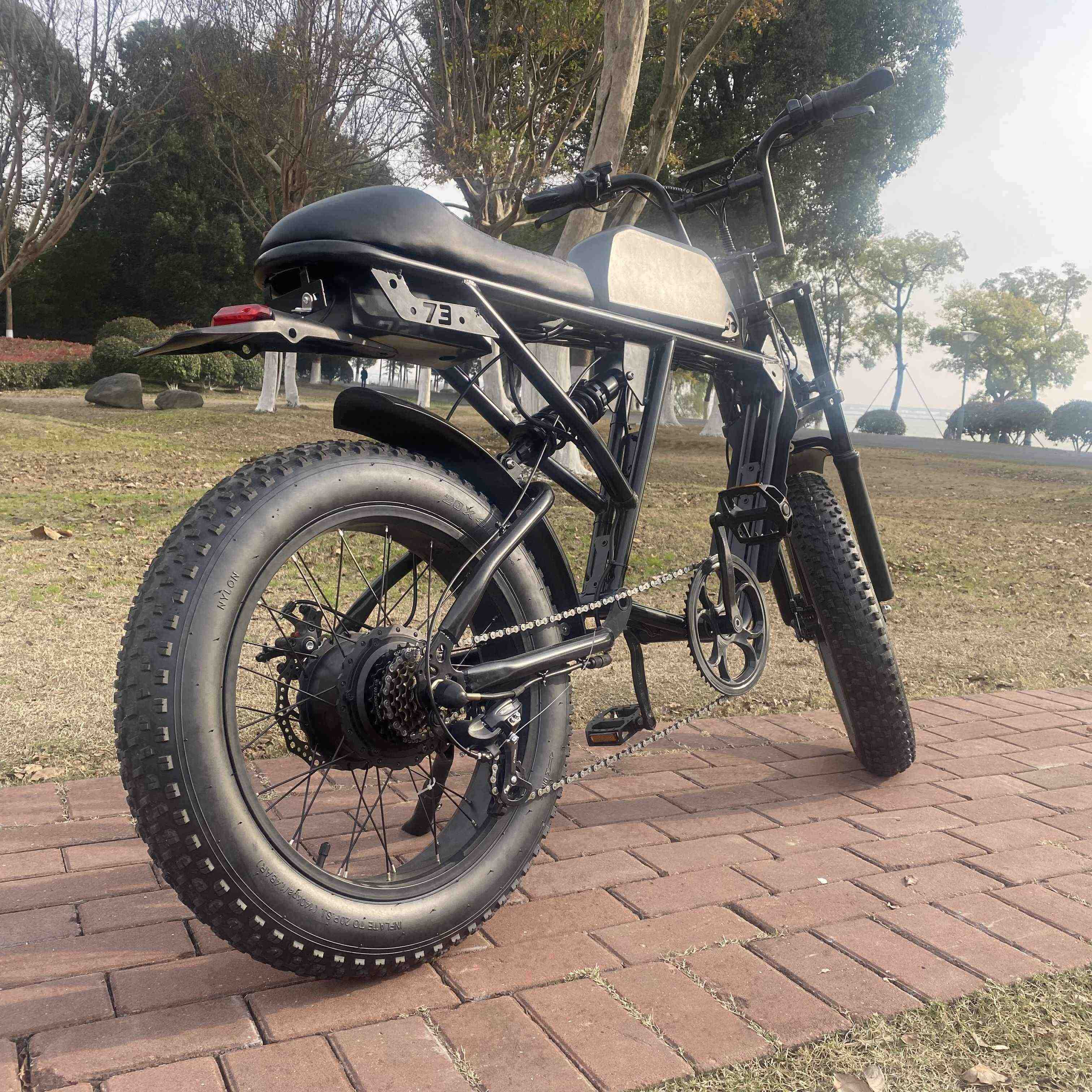 Factory Supplying Stealth Bomber Electric Bike Frame