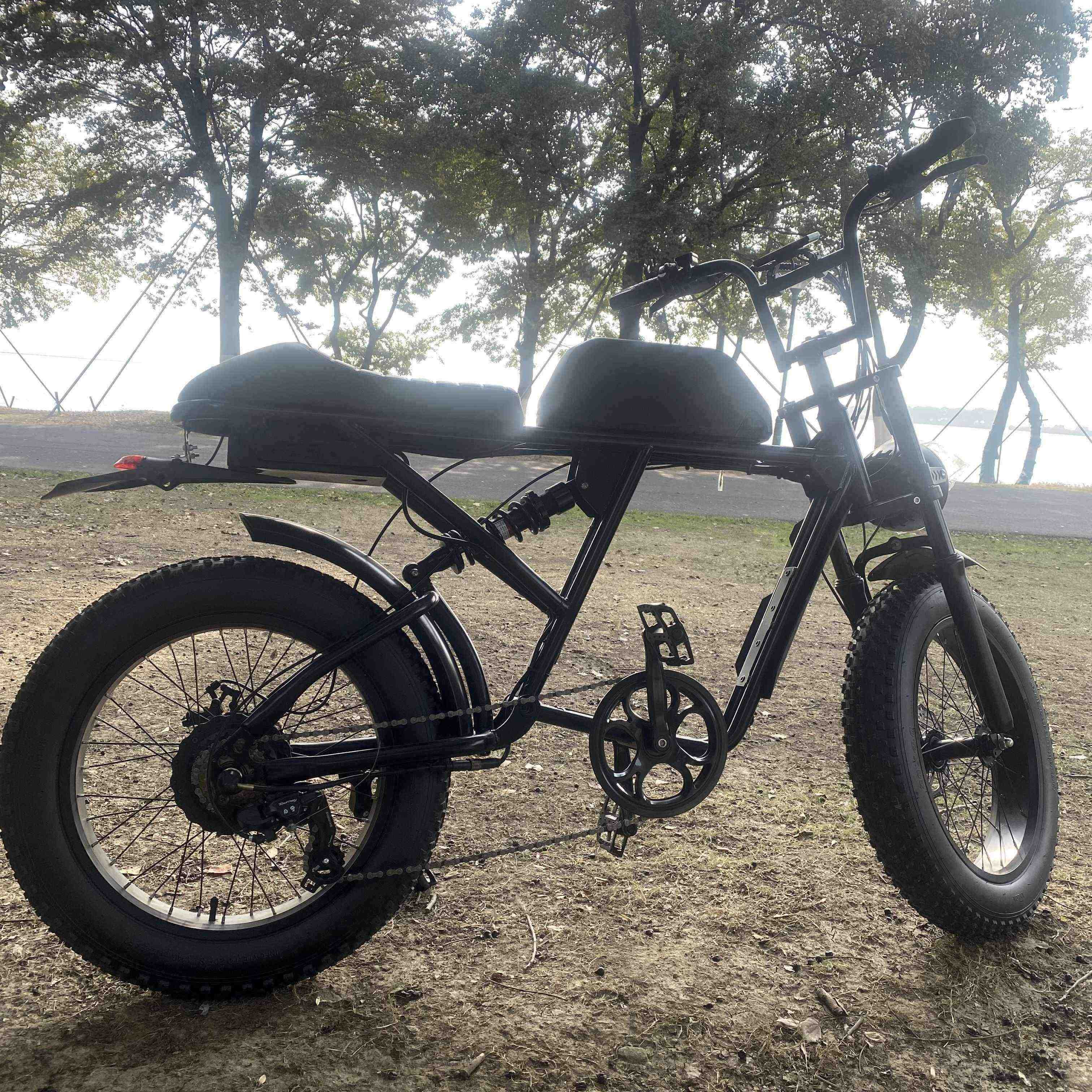 Factory Supplying Stealth Bomber Electric Bike Frame