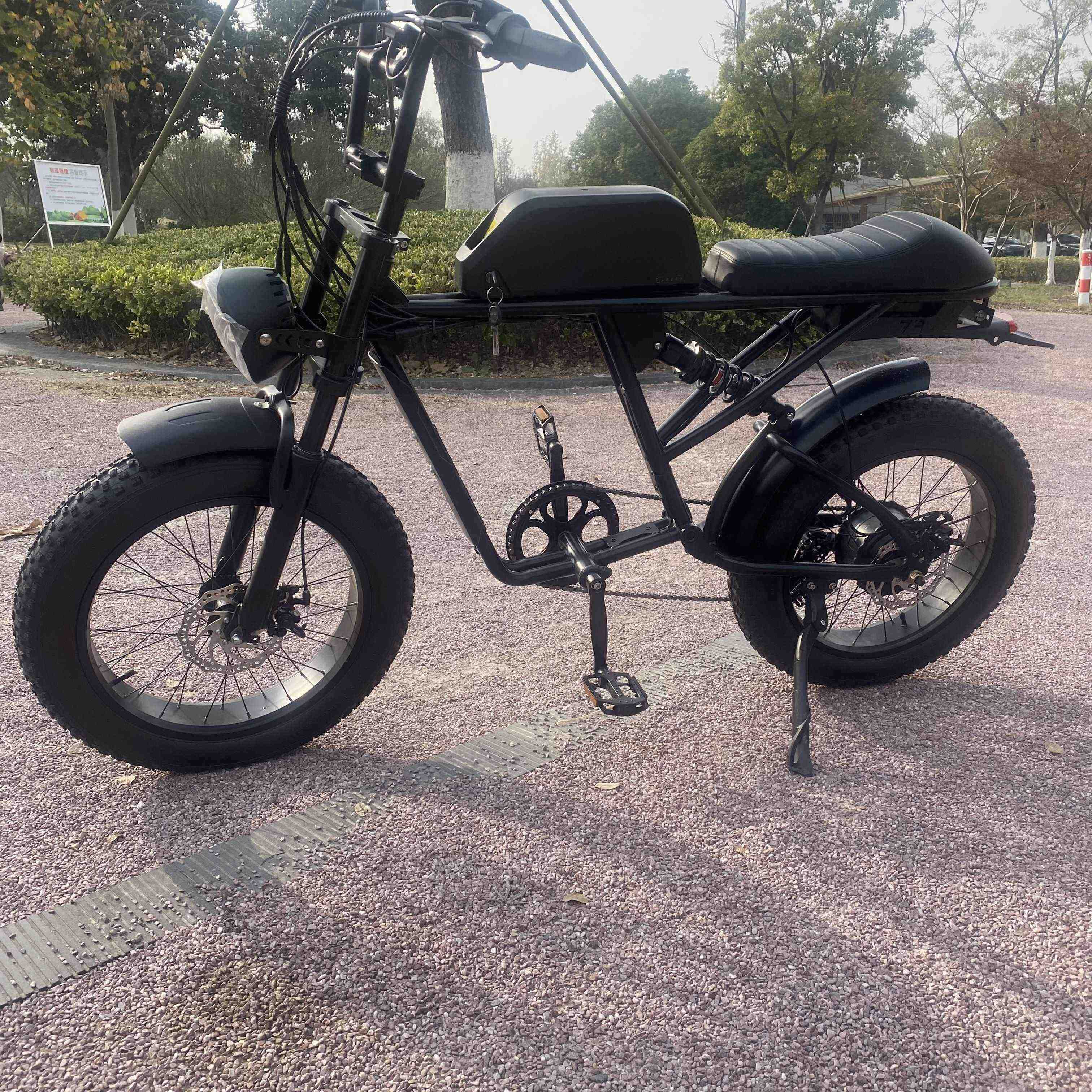 Best Quality China Manufacturer Raptor Cheetah Ebike 72V