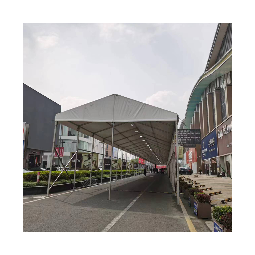 Quality alloy frame Canopy Tent Folding tent UV-proof rainproof Parking shed Canopy Tent for sale