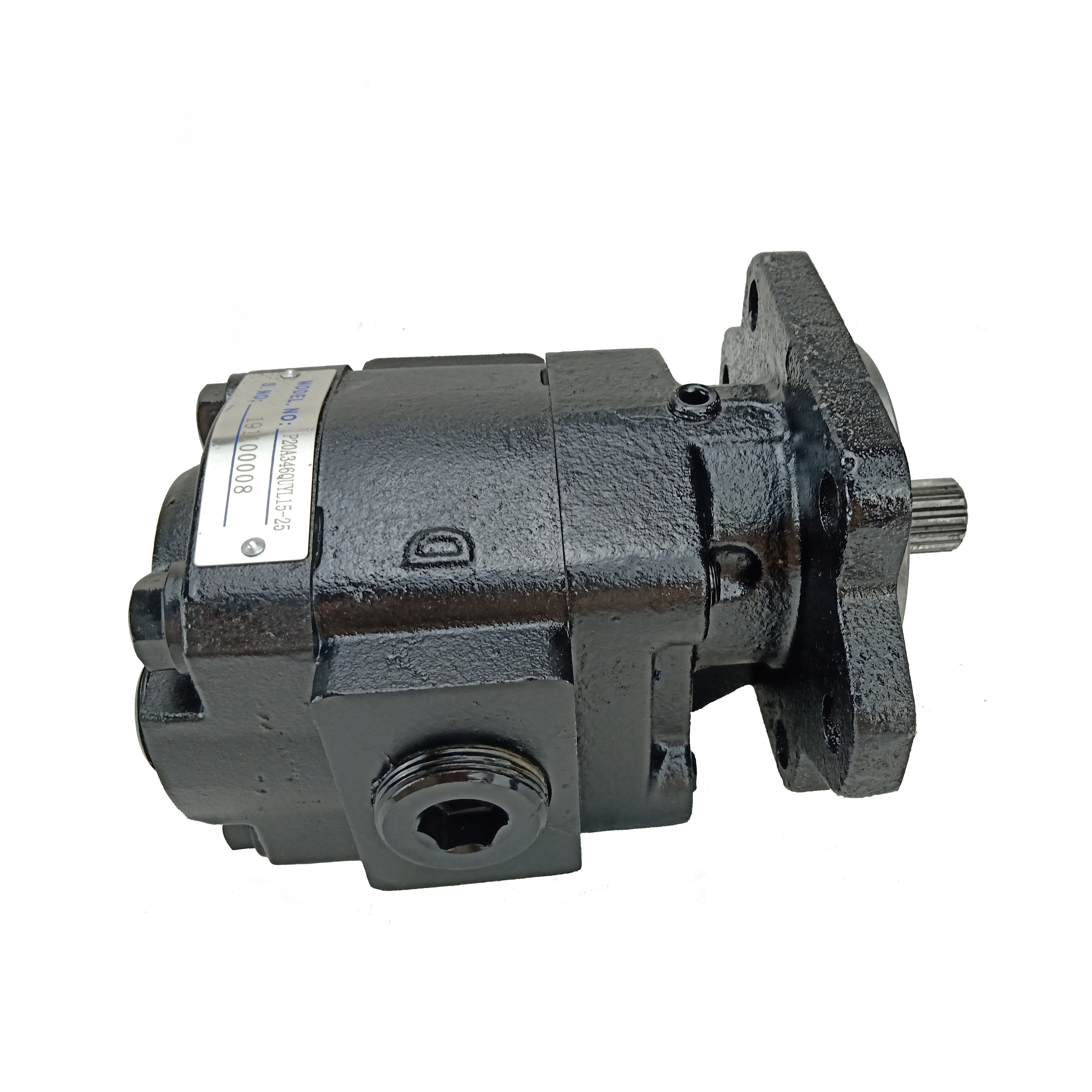 P Series P20 Bi-Rotational hydraulic gear pump P20/P30/P31/P50/P51/P75/P76 for Parker 3089110272