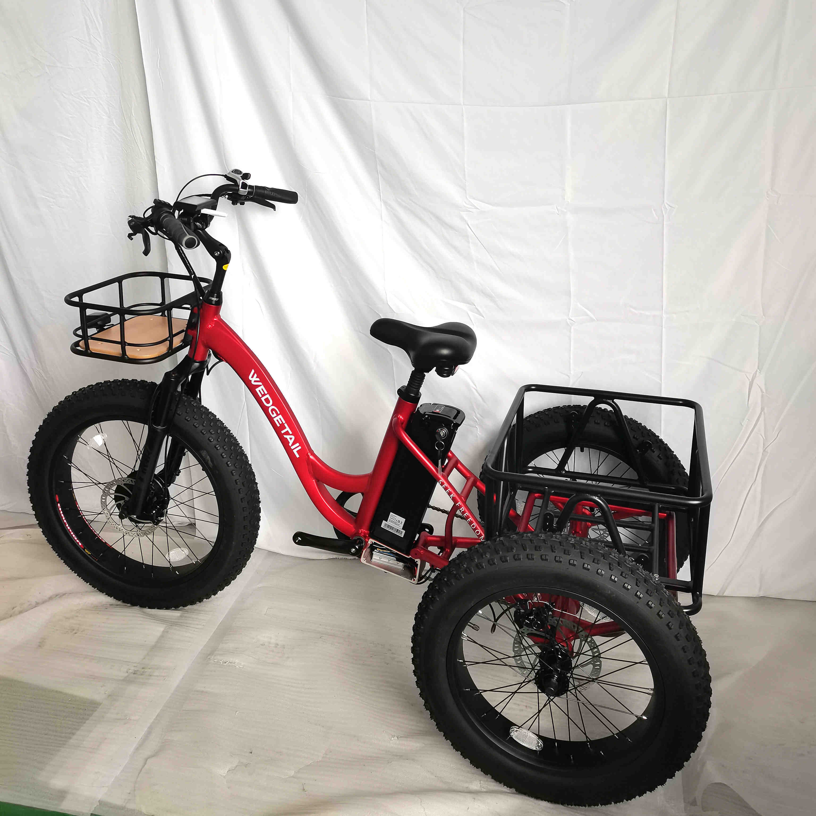 48V 1000W ebike electric bike 3 wheel electric tricycles 3 wheel electric cargo bike electric bike 3 wheels