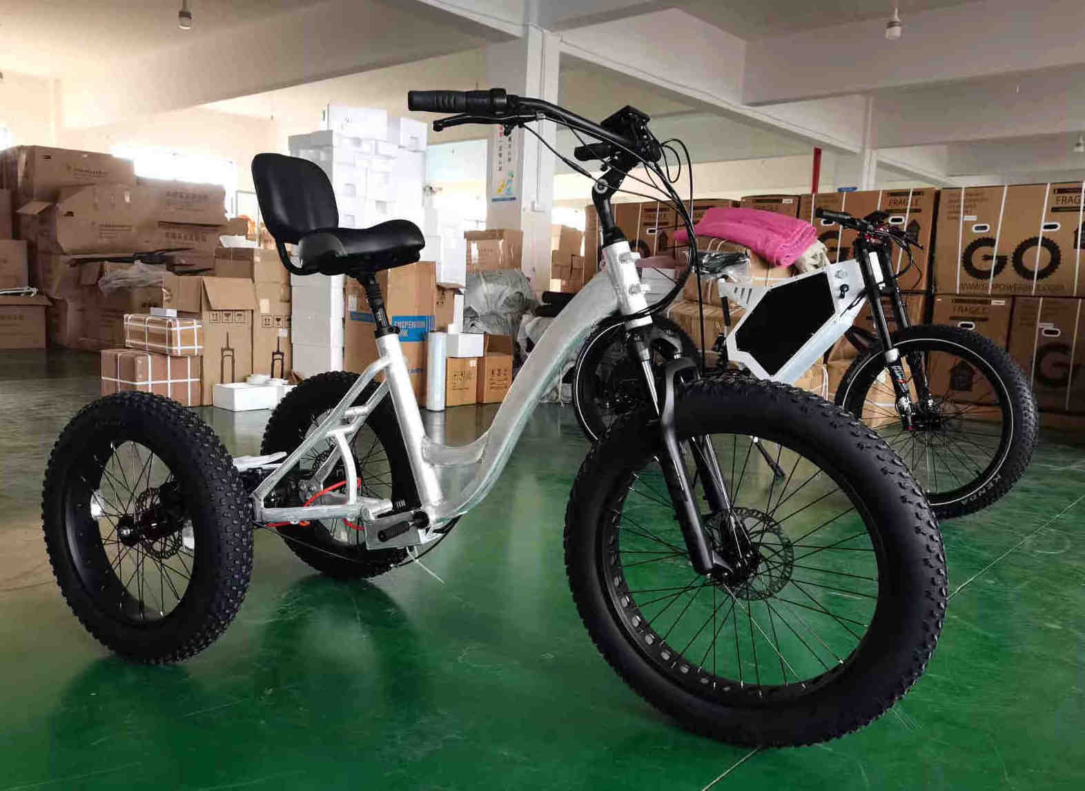 48V 1000W ebike electric bike 3 wheel electric tricycles 3 wheel electric cargo bike electric bike 3 wheels