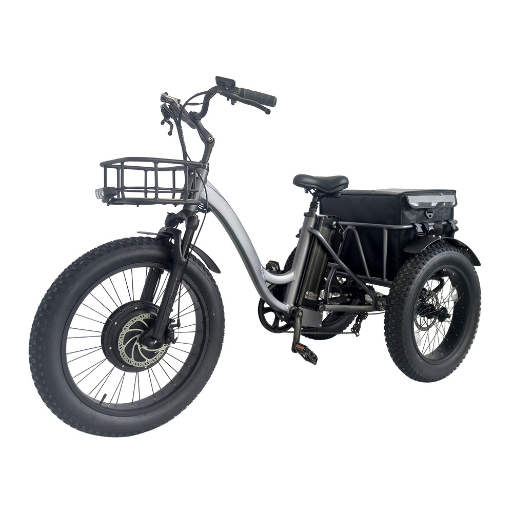 48V 1000W ebike electric bike 3 wheel electric tricycles 3 wheel electric cargo bike electric bike 3 wheels