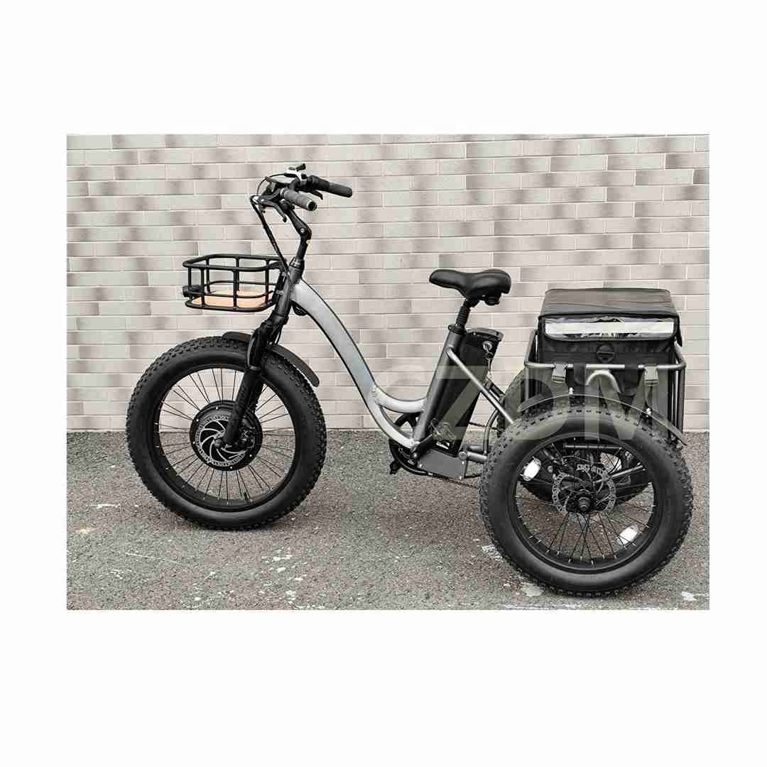 Czdm 1000W 20 Inch Tricycle Electric Tricycles 3 Wheel Electric Cargo Bike Tricycle Taxi Moto