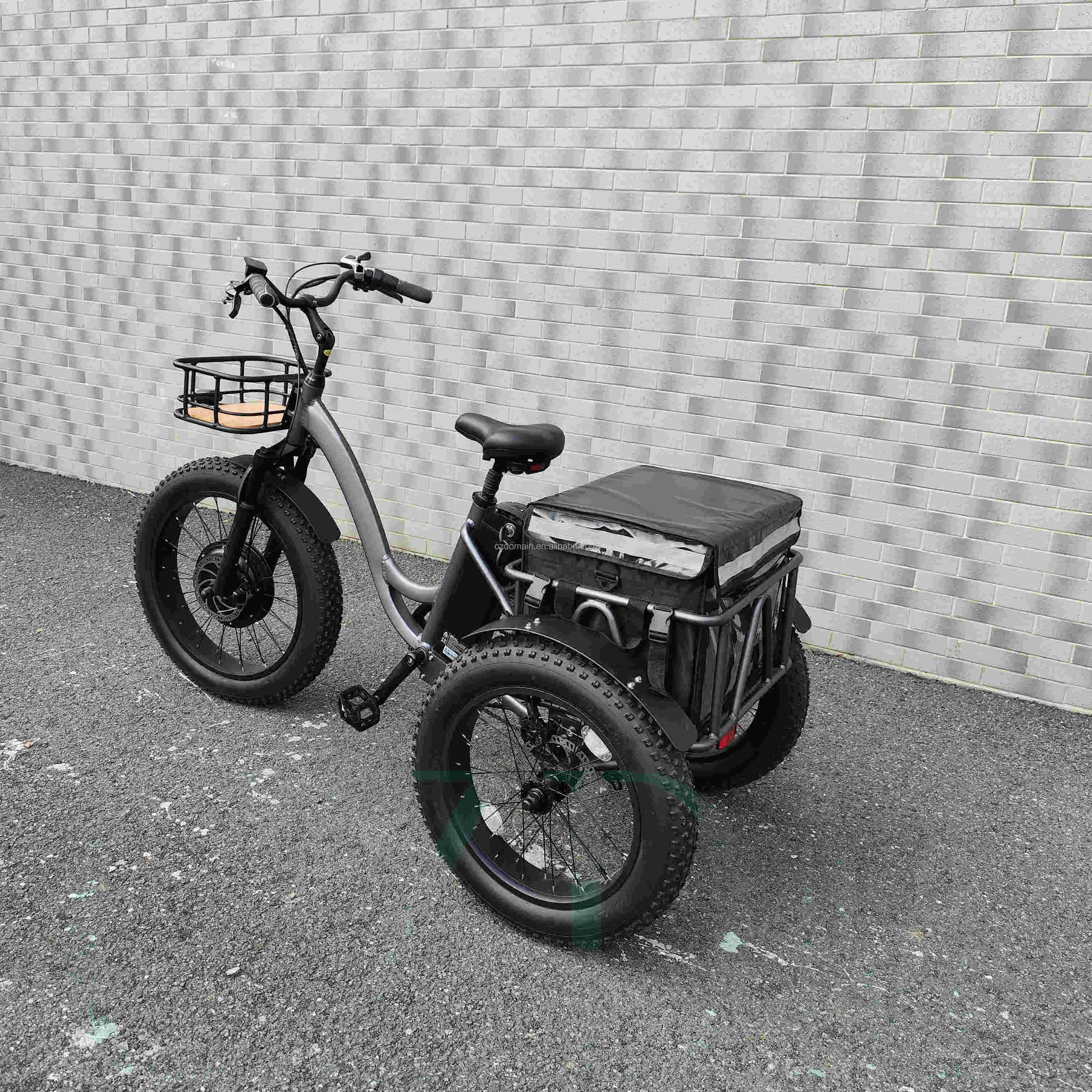 Customized And Comfortable 48V1000W Electric Tri  Electric Tricycles Three Wheel Adult Moto Cargo Tricycles