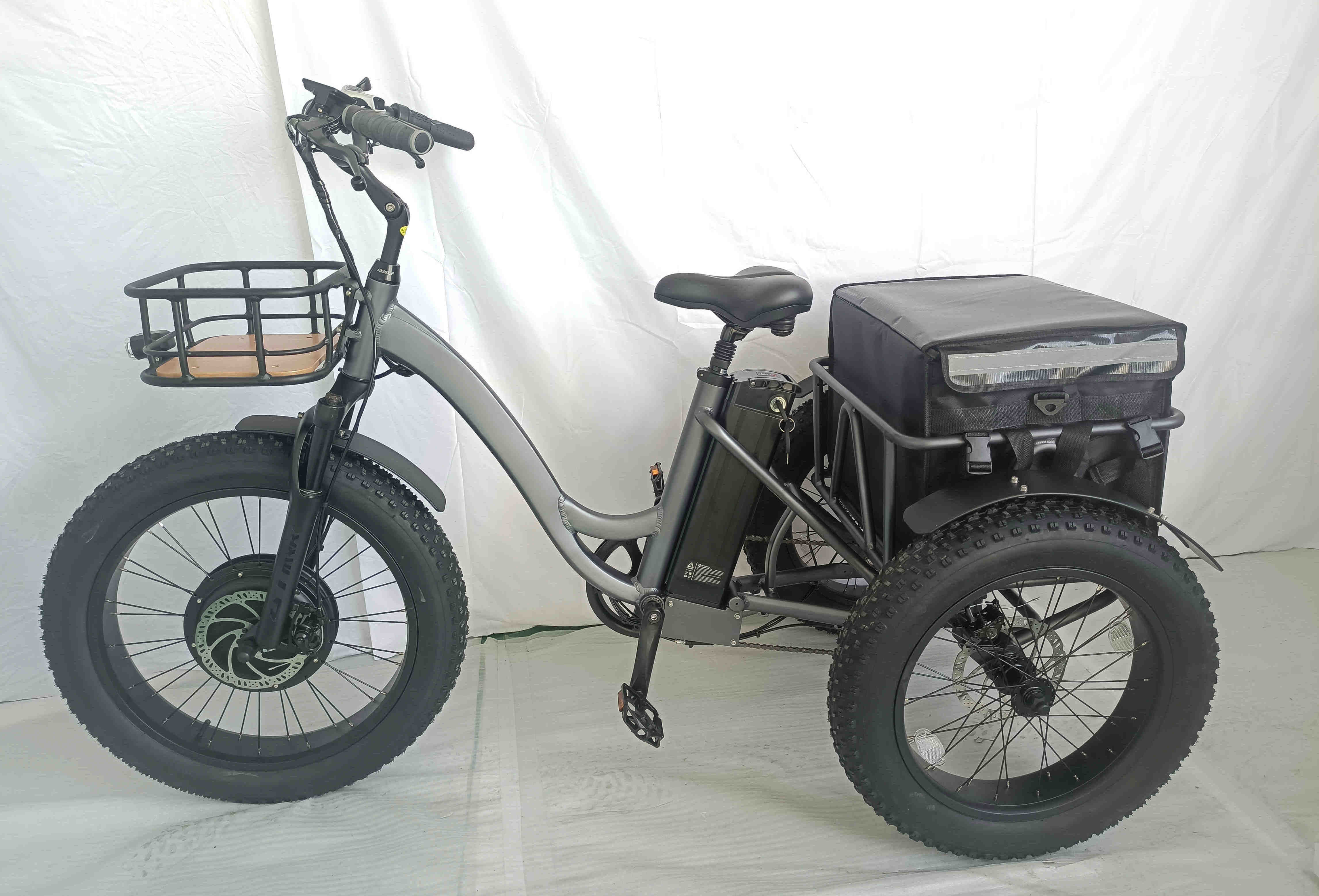 Czdm 1000W 20 Inch Tricycle Electric Tricycles 3 Wheel Electric Cargo Bike Tricycle Taxi Moto