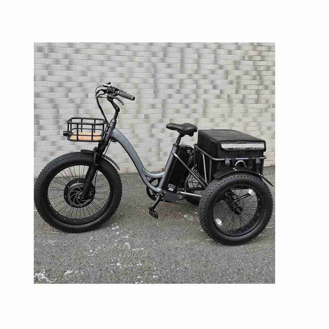 Customized And Comfortable 48V1000W Electric Tri  Electric Tricycles Three Wheel Adult Moto Cargo Tricycles