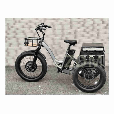 Chinese Supply Electric Transmission 48V 1000W Motor Tricycle Motorized Tricycles Electric Motor Tricycle