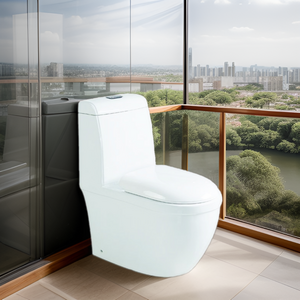 Modern Ceramic WC One Piece Toilet Wholesale Sanitary Ware for Apartment Use