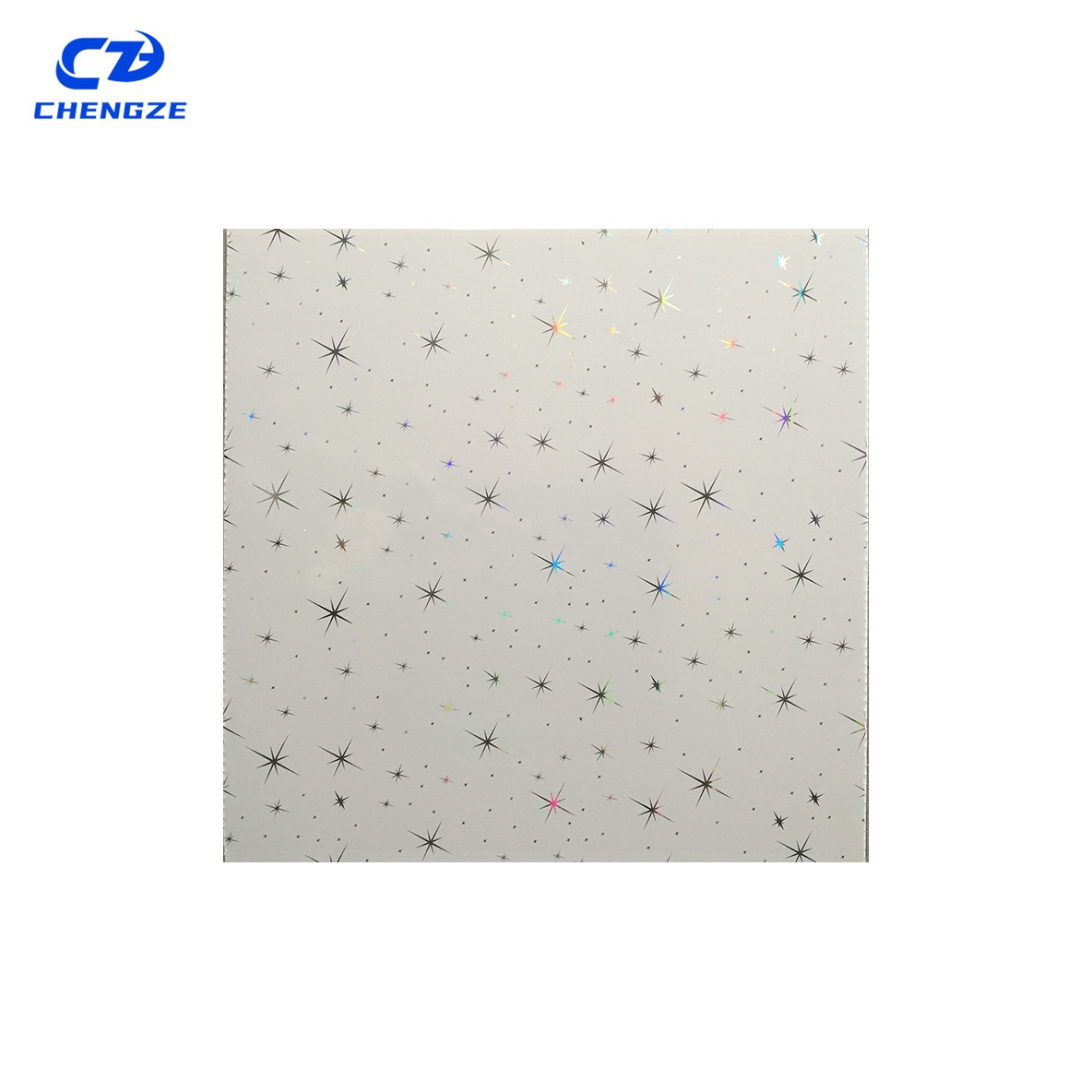 New Arrive Hot Stamping PVC Ceiling Tiles 2x4 Indoor Wall Panel Board