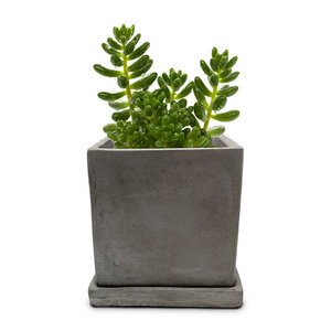 Stocked hot-selling cement planter pot set high-quality square shape flower pots