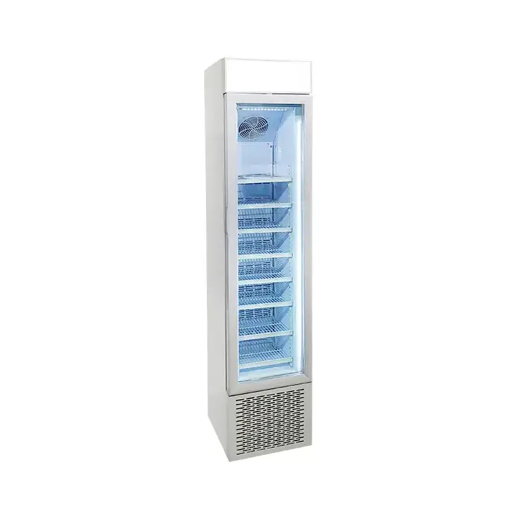 Custom logo commercial frozen refrigerator vertical freestanding compressor r600a fridge freezer for ice cream display