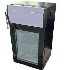 OEM 25L led light compressor cooling freezer mini fridge with light box kitchen home small refrigerator