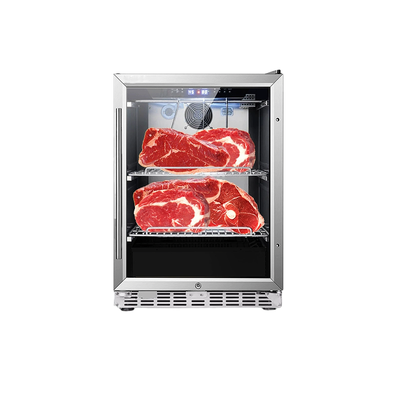 NUELEAD meat refrigerator dry cured curing cabinet machine chamber