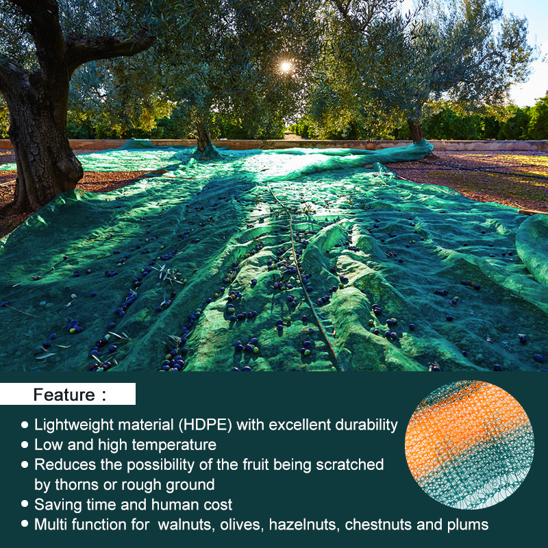 2023 hot sale Green Olive Harvest Net Protecting from Fruit Falling Nets plastic olive collect net