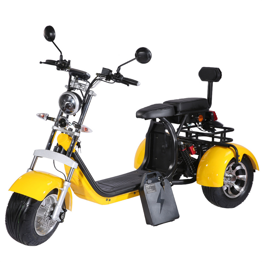 3 Wheel Electric Scooter Street Legal COC EEC Tricycle Motorcycle for Handicapped Adult