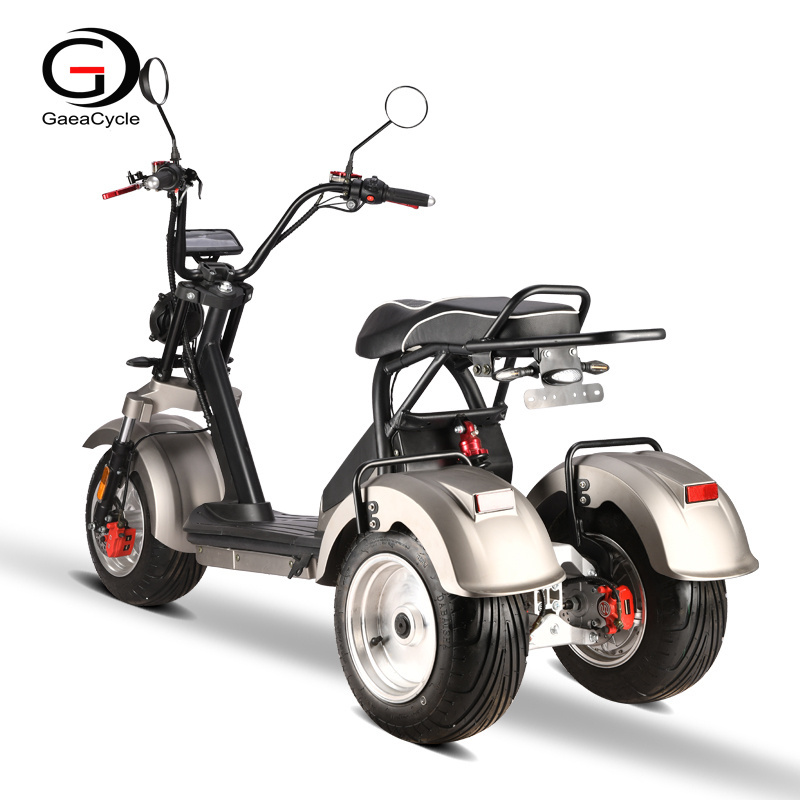 GaeaCycle Trike Motorcycle 10inch Fat Tires COC 45km/h 4000w Citycoco Three Wheel Electric Scooter