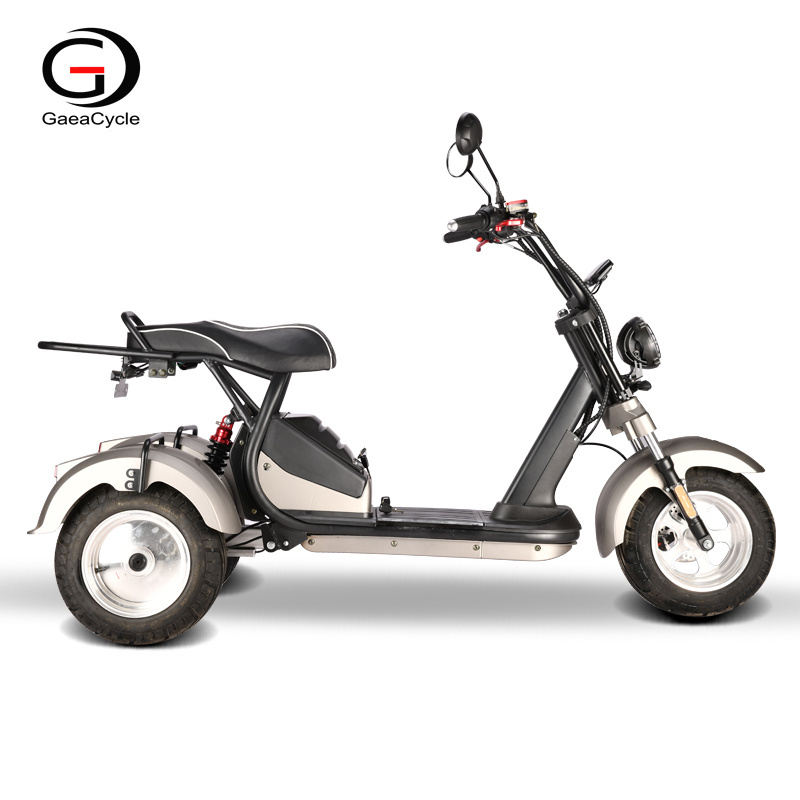 GaeaCycle Trike Motorcycle 10inch Fat Tires COC 45km/h 4000w Citycoco Three Wheel Electric Scooter